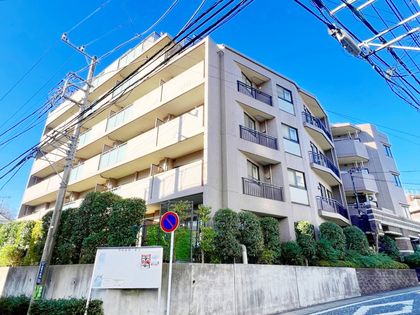 ナイスアーバン溝の口 外観