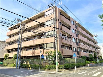 ナイスアーバン武蔵新城 外観
