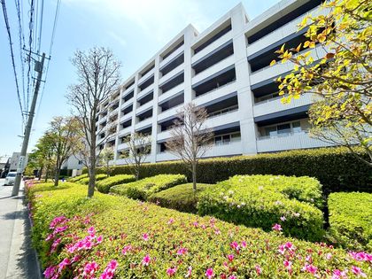 オーベル元住吉プレクシード 外観 外観
