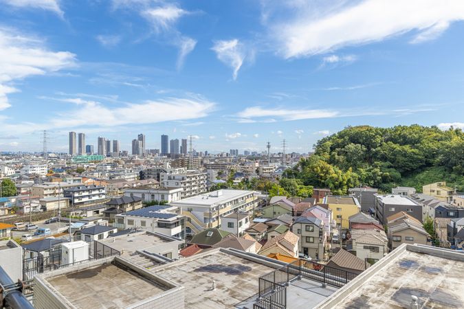 ニューウェルテラス元住吉 眺望 ニューウェルテラス元住吉 眺望