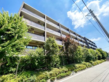 グランドメゾン元住吉 ノーステラス 外観