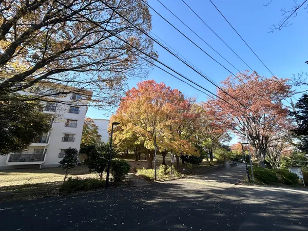 敷地内