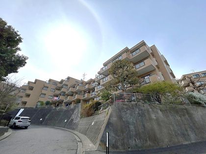 バームハイツ菊名 参番館 外観