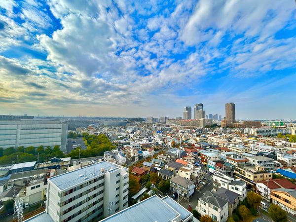 ザ・ミレナリータワーズ 眺望 ザ・ミレナリータワーズ 眺望