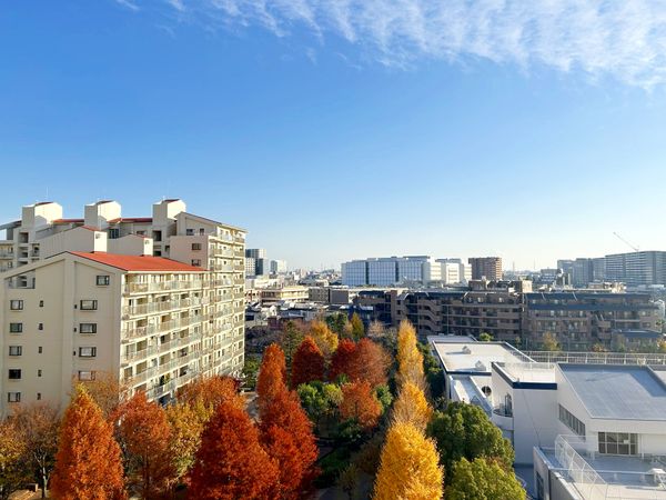 パークシティ新川崎 西二番街A棟 眺望 パークシティ新川崎 西二番街A棟 眺望