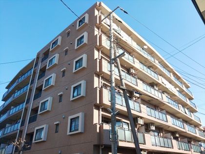 ナイスアーバン新川崎ステイツ 外観