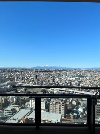 THE KOSUGI TOWER 眺望 THE KOSUGI TOWER 眺望
