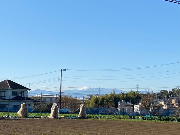 西野川3丁目 戸建 眺望 眺望