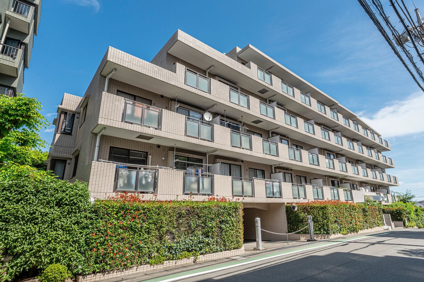 イトーピア鷺沼Ⅱ 外観 外観