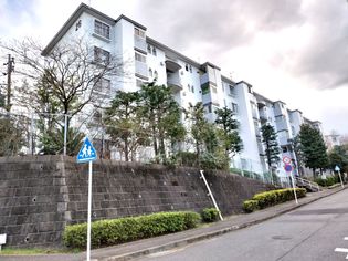 宮前平グリーンハイツ 26号棟 外観 宮前平グリーンハイツ 26号棟 外観