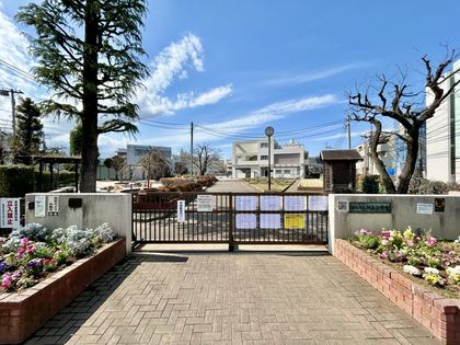 パール綱島マンション 横浜市立綱島小学校(約200m) 横浜市立綱島小学校(約200m)