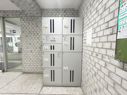 パール綱島マンション その他現地 その他現地