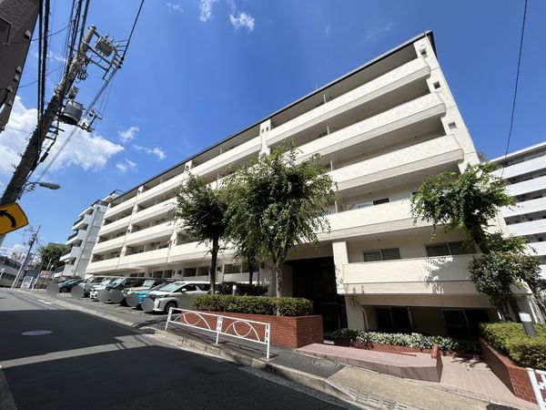 ゾンネンハイム大橋 外観 ゾンネンハイム大橋 外観