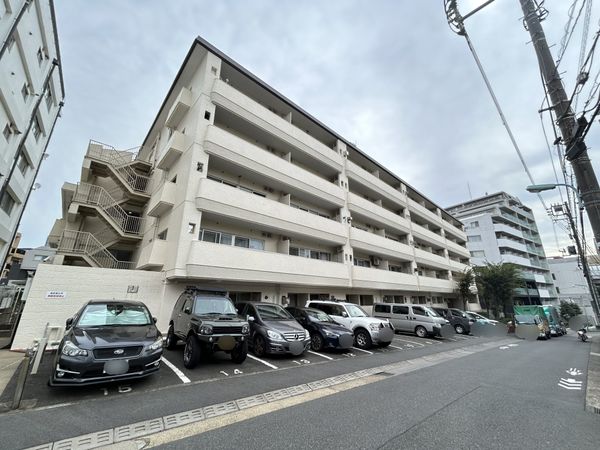 ゾンネンハイム大橋 外観 ゾンネンハイム大橋 外観