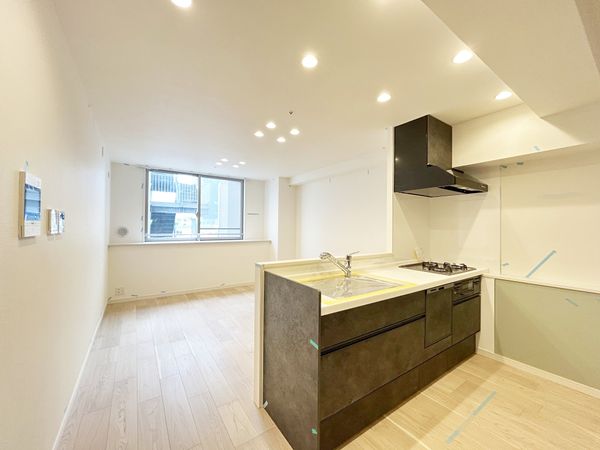 プラティーク三軒茶屋 リビング