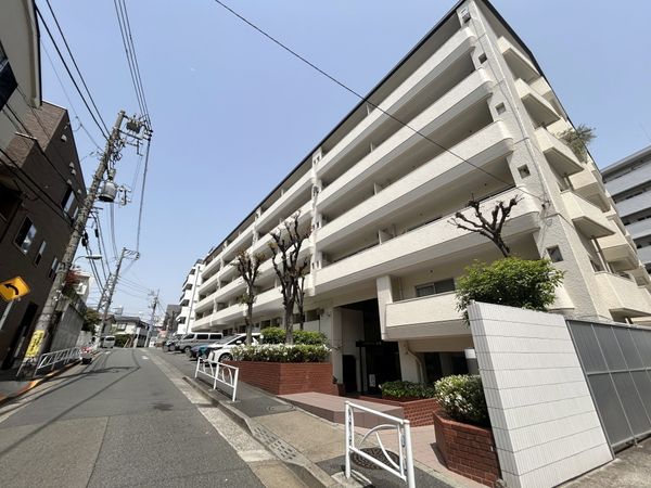 ゾンネンハイム大橋 外観