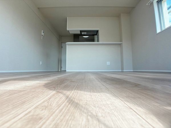 学芸大スカイマンション リビング