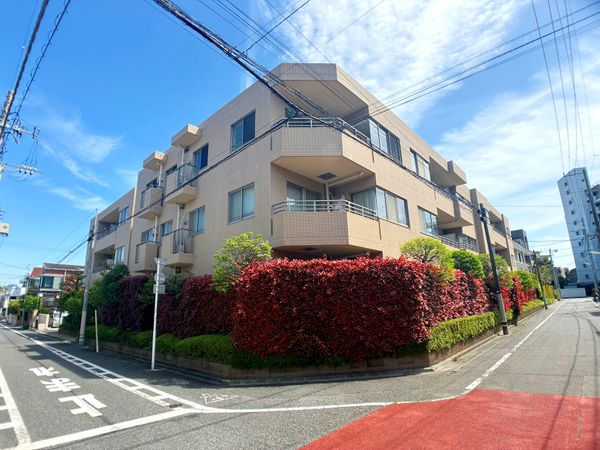 野沢パークハウス 外観 野沢パークハウス 外観