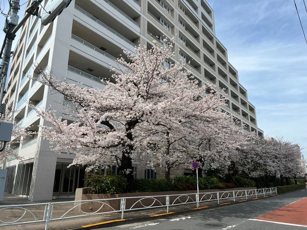 The目黒桜レジデンス