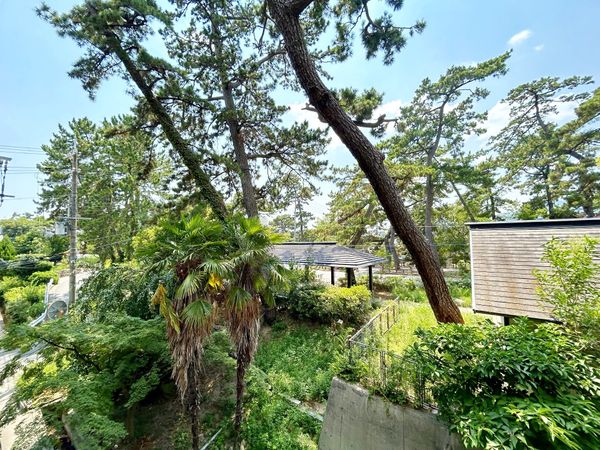 イトーピア夙川結善町 眺望 イトーピア夙川結善町 眺望