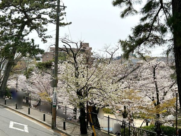 ローレルコート夙川北名次町 眺望 ローレルコート夙川北名次町 眺望