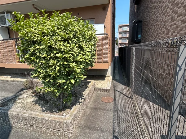 庭