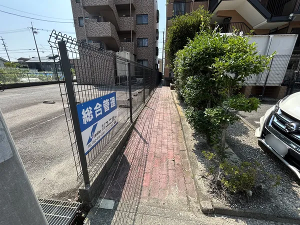 庭