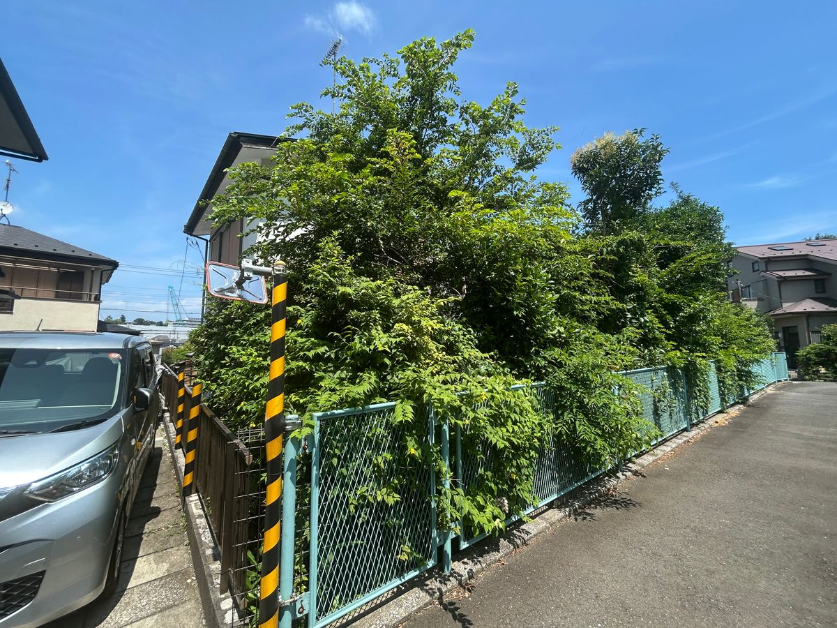 土地写真