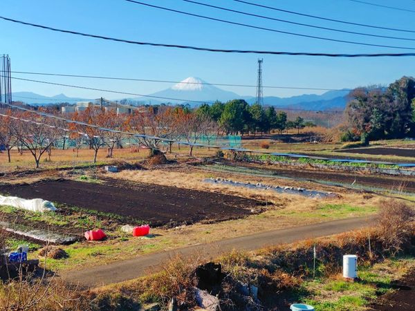 茅ヶ崎市堤 戸建 眺望