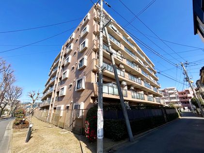 ナイスアーバン新川崎ステイツ 外観