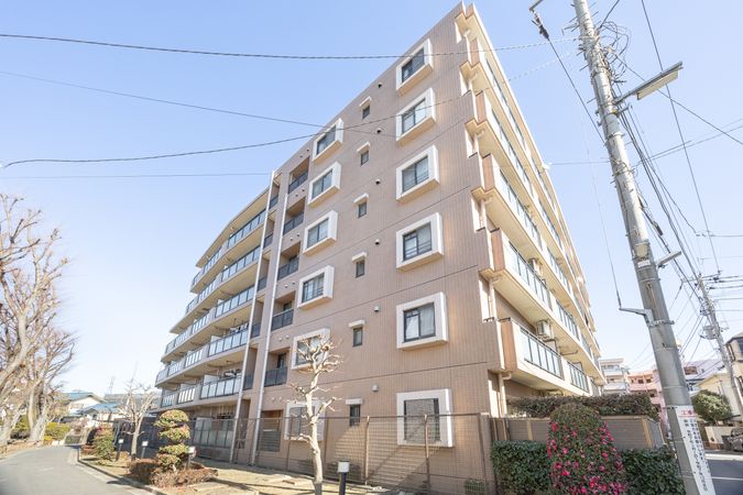 ナイスアーバン新川崎ステイツ 外観