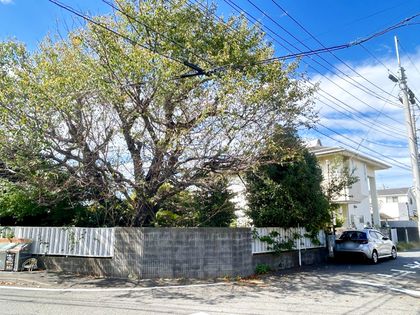 鶴見区馬場4丁目(土地) 土地写真