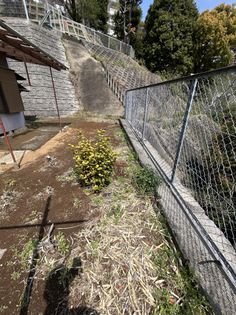 神奈川区三ツ沢下町(土地) 土地写真