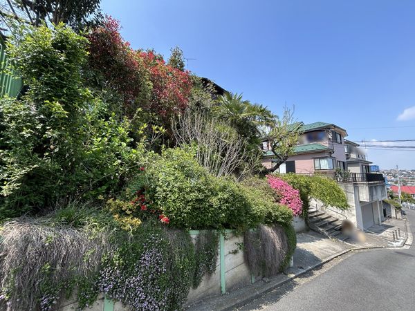 土地写真