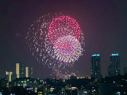 コスモ横濱ガーデン山 眺望