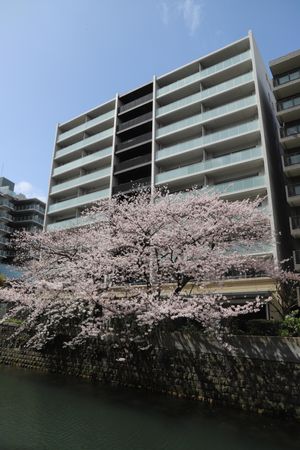 パークホームズ横浜ブロッサムアベニュー 外観 パークホームズ横浜ブロッサムアベニュー 外観