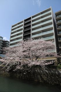 パークホームズ横浜ブロッサムアベニュー 外観