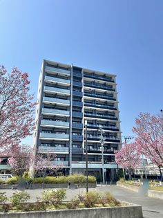 プラウド横浜阪東橋 外観