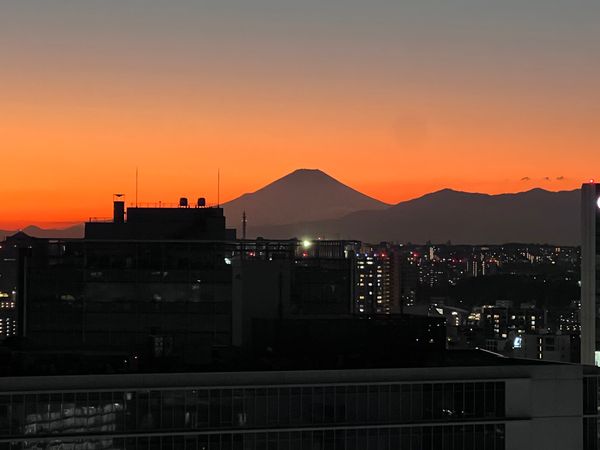 M.M.TOWERS FORESIS L棟 眺望