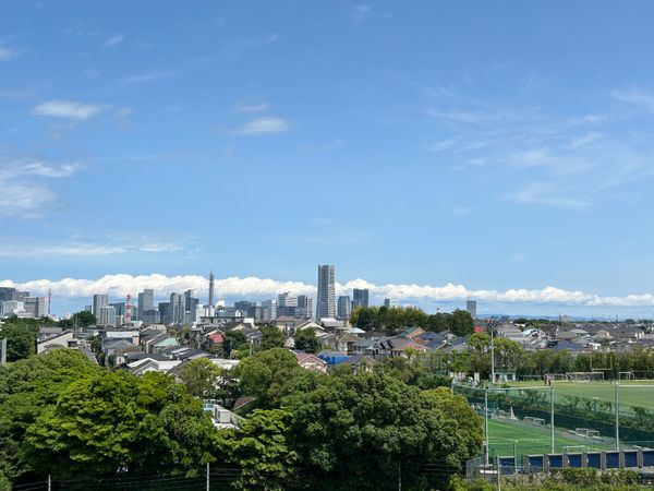 コスモ横浜常盤台公園 眺望