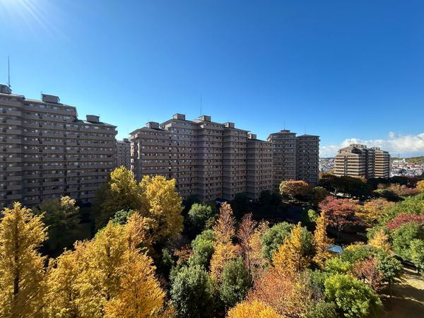 サン・ステージ緑園都市東の街 7番館 眺望 眺望