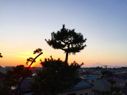 藤沢市片瀬4丁目 土地 眺望