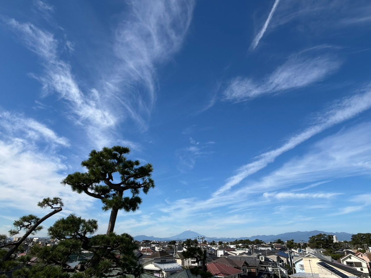 藤沢市片瀬4丁目 土地 眺望 眺望