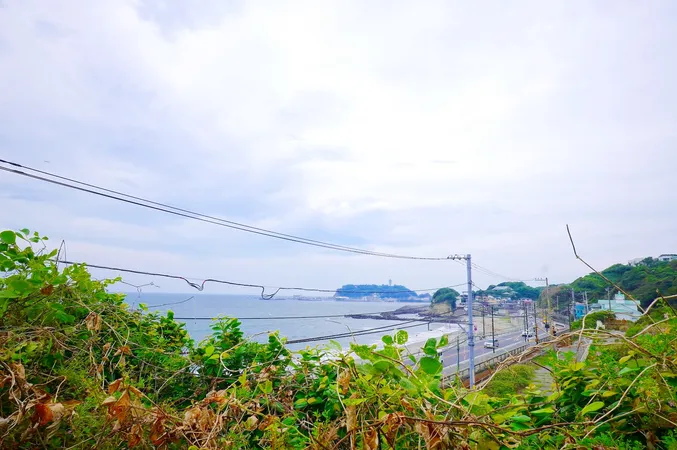 【現地写真】相模湾・江の島を望め、海風を感じられます。（季節・天候による）（撮影日：2025年9月18日）