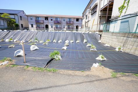 藤沢市鵠沼藤が谷4丁目 土地 A区画 土地写真