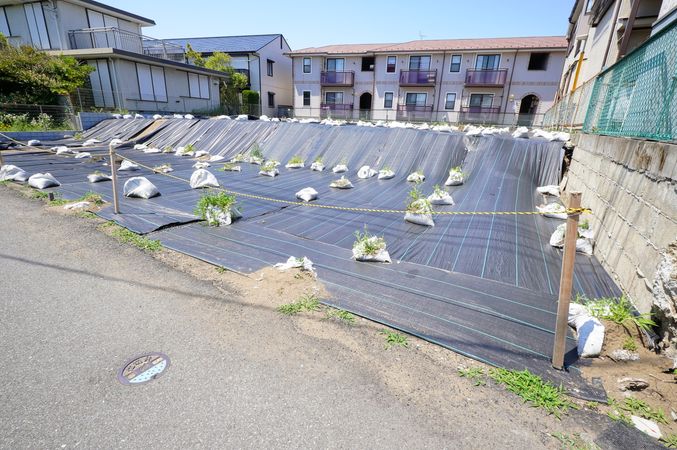 土地写真