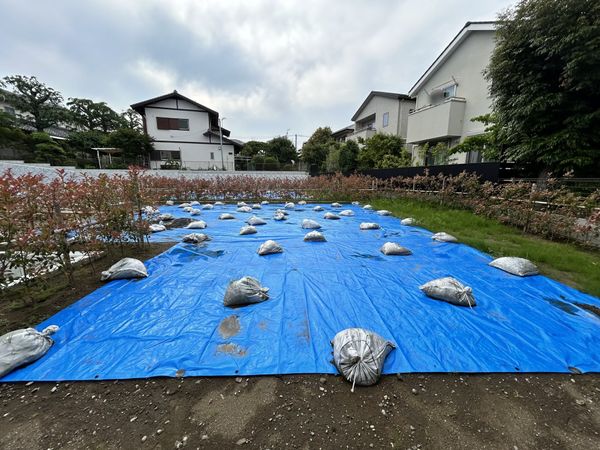 藤沢市鵠沼桜が岡1丁目 土地 A区画 土地写真 藤沢市鵠沼桜が岡1丁目 土地 A区画 土地写真