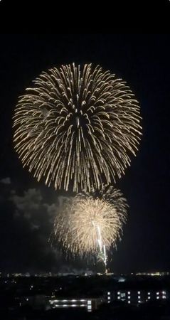 プレシスヴィアラ湘南藤沢 眺望