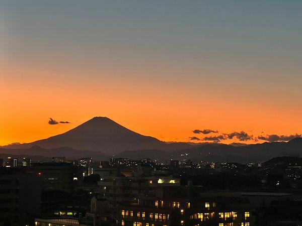 プレシスヴィアラ湘南藤沢 眺望