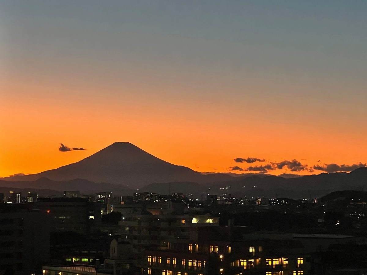 プレシスヴィアラ湘南藤沢 眺望 眺望